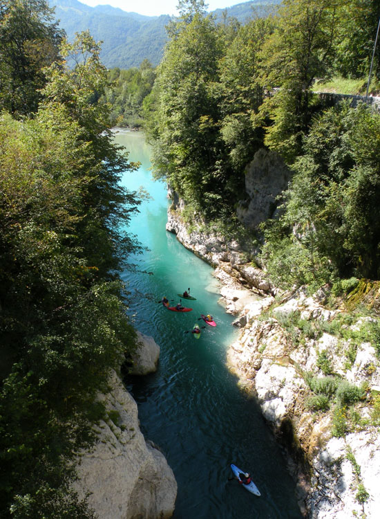 Immersione in fiume sloveno: trota marmorata ed altro...